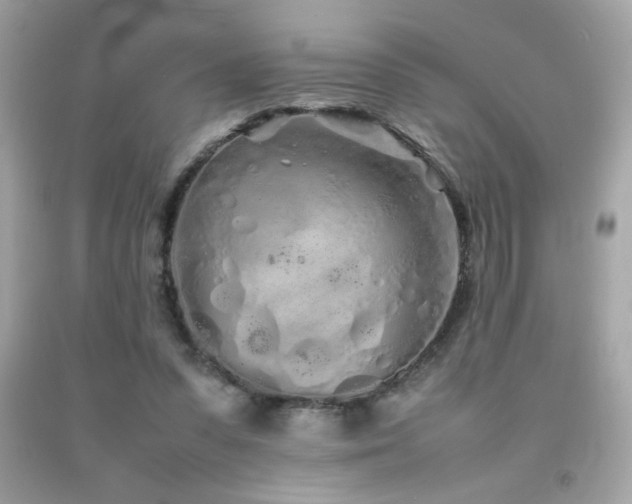 X0000092090303200709121518
