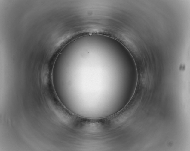 X0000092090304200709121518