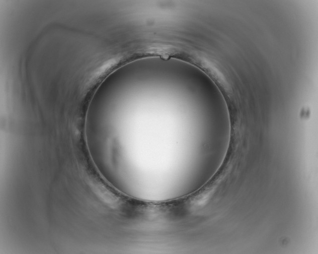 X0000092090305200709121518
