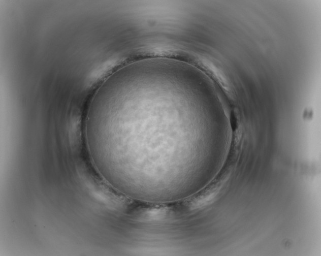 X0000092090306200709121518