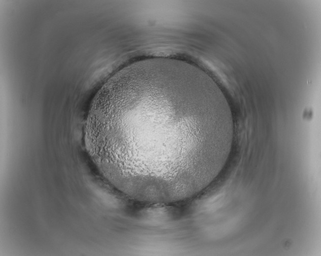 X0000092090307200709121518