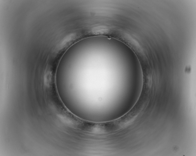 X0000092090308200709121518