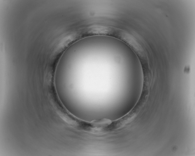X0000092090309200709121518