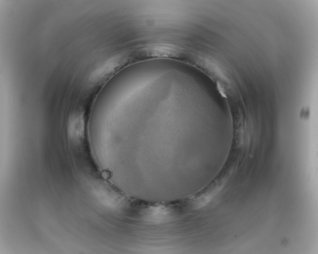 X0000092090310200709121518