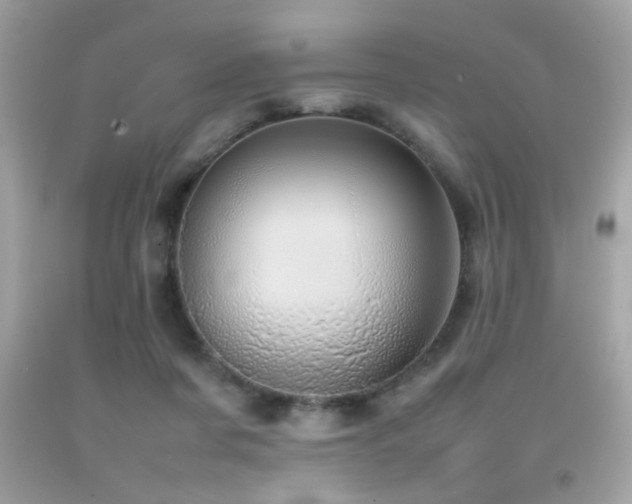 X0000092090311200709121518