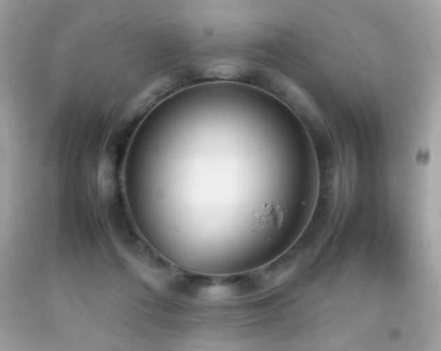 X0000092090312200709121518