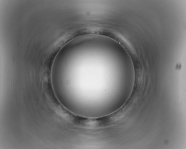 X0000092090313200709121518