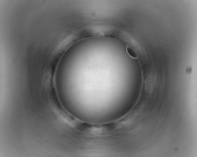 X0000092090314200709121518