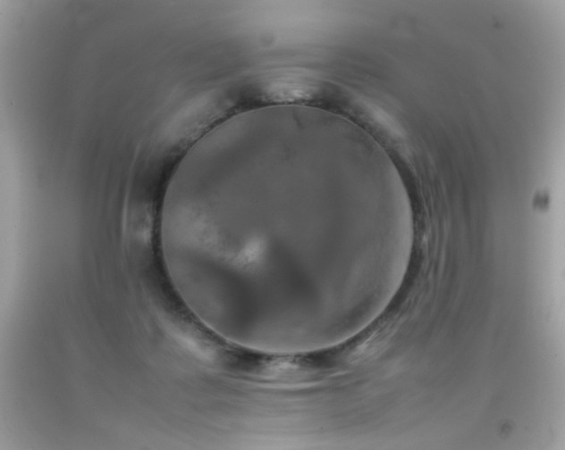 X0000092090315200709121518