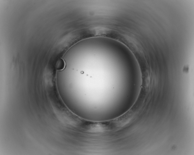 X0000092090316200709121518