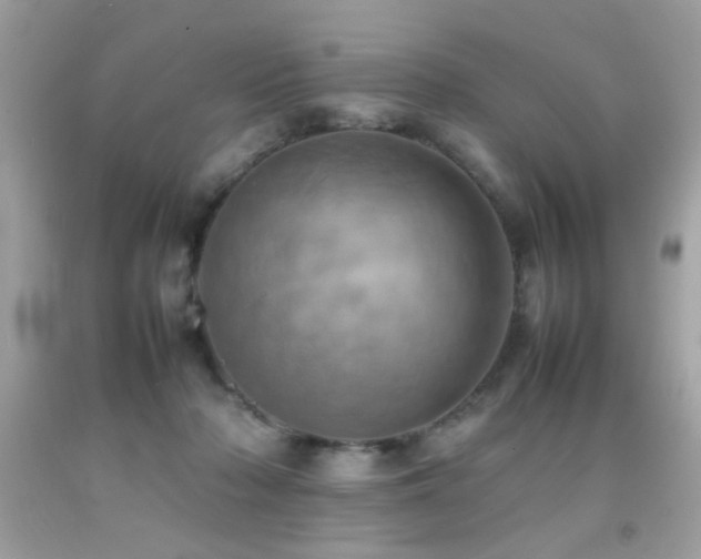 X0000092090318200709121517