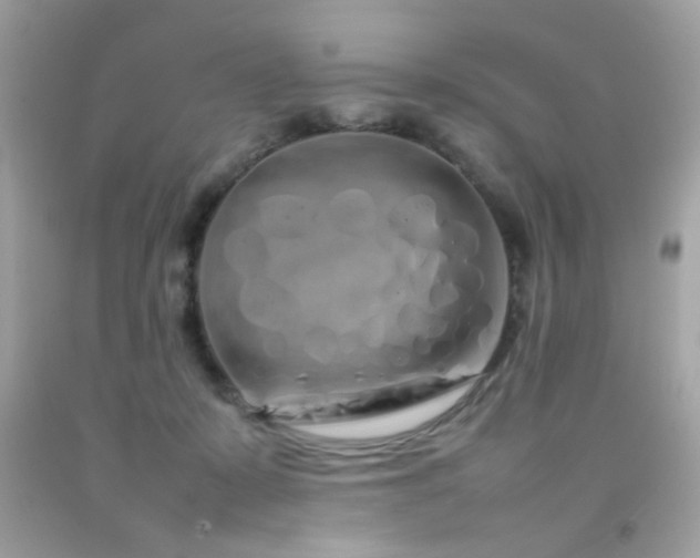 X0000092090319200709121517