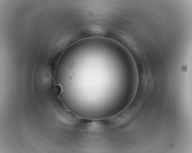 X0000092090320200709121517
