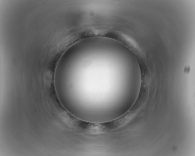 X0000092090321200709121517