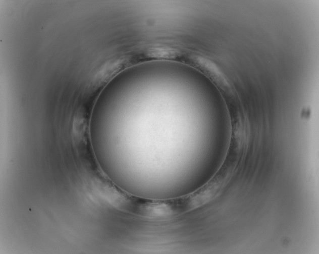 X0000092090322200709121517