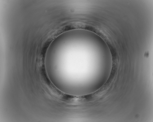X0000092090323200709121517