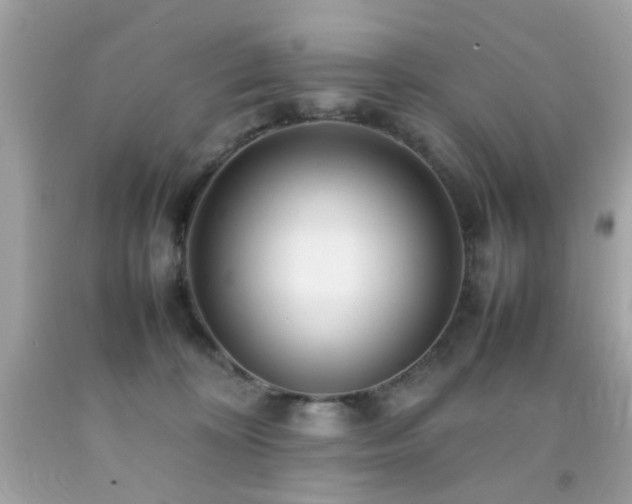 X0000092090324200709121517