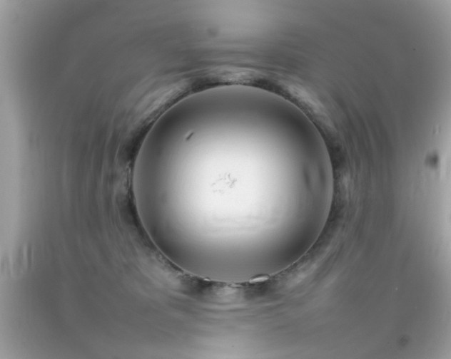 X0000092090325200709121517