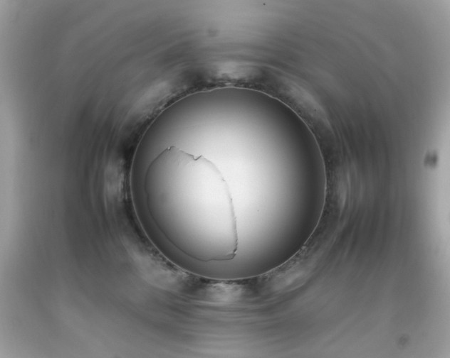 X0000092090328200709121517