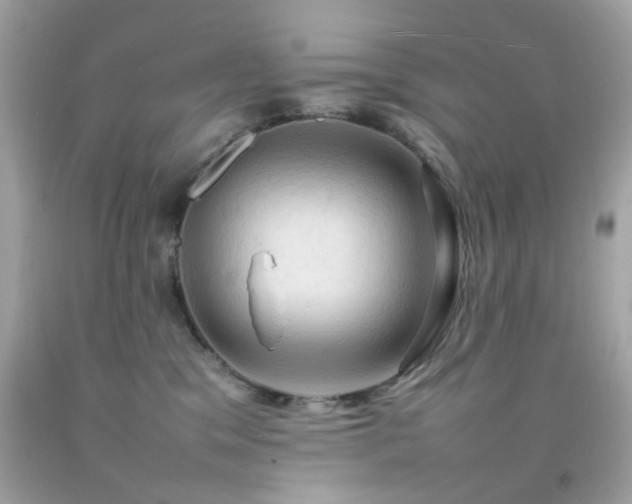 X0000092090329200709121517