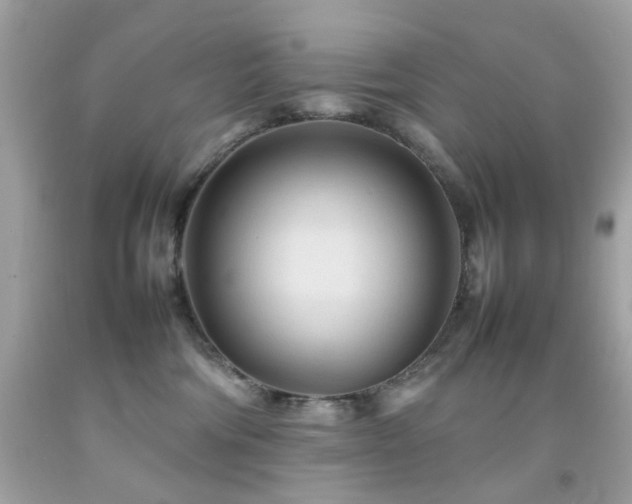 X0000092090330200709121517