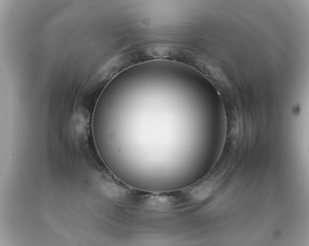 X0000092090332200709121517