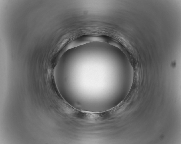 X0000092090333200709121517