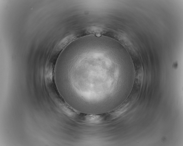 X0000092090334200709121517