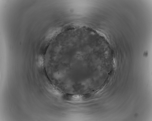 X0000092090335200709121517