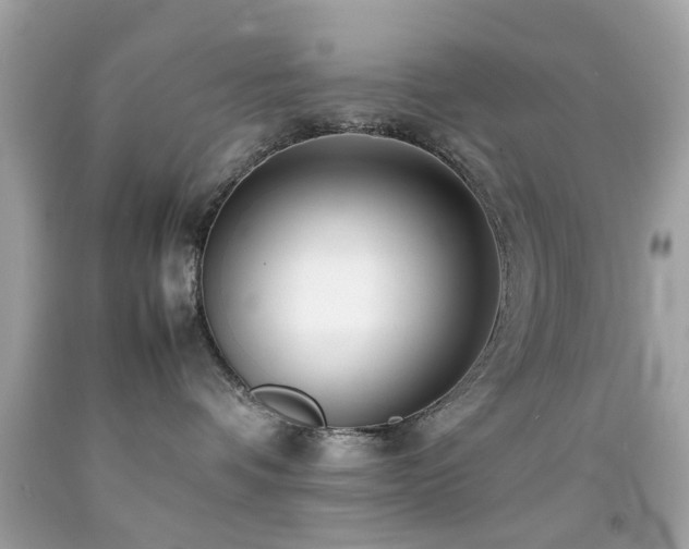 X0000092090336200709121517