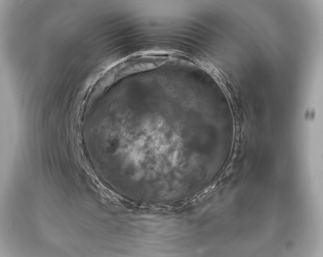 X0000092090337200709121517
