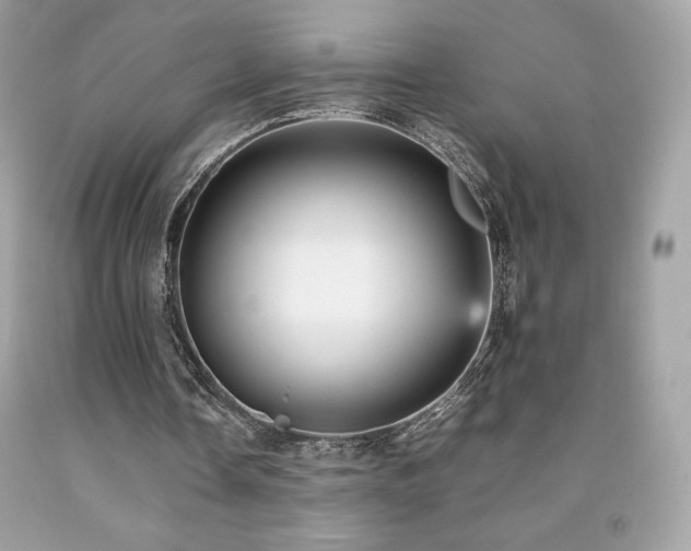X0000092090338200709121517