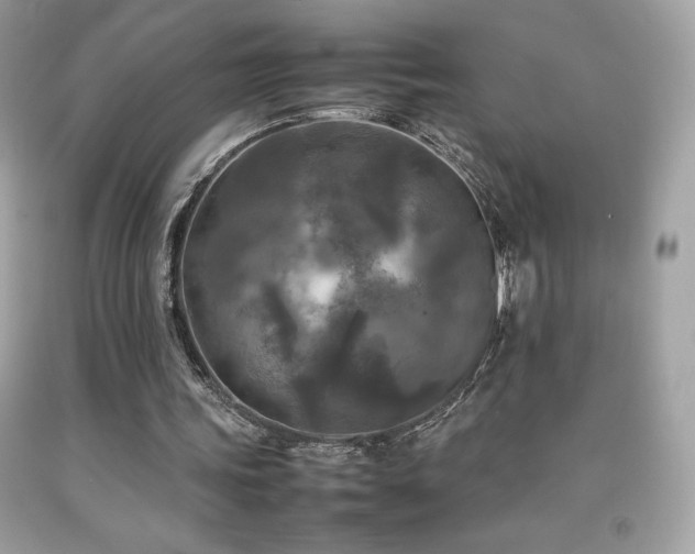 X0000092090339200709121517