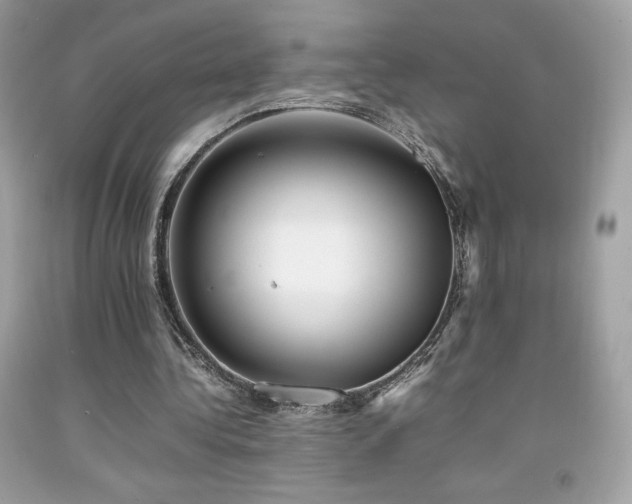 X0000092090340200709121517
