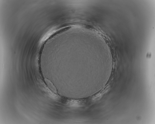 X0000092090341200709121517