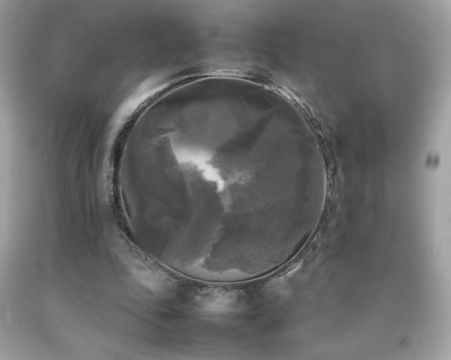 X0000092090343200709121517