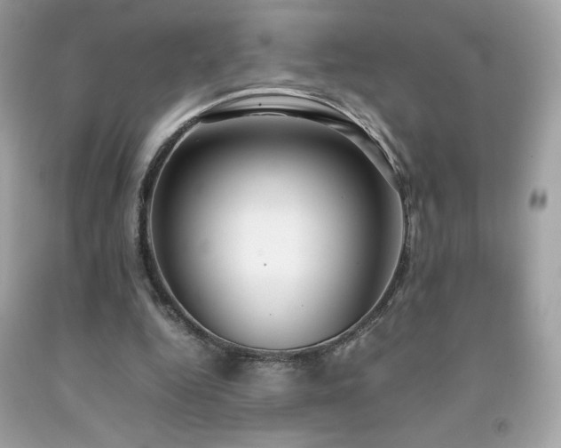 X0000092090344200709121517