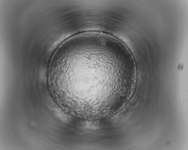 X0000092090345200709121517
