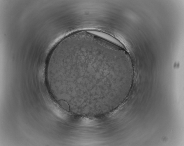 X0000092090346200709121517