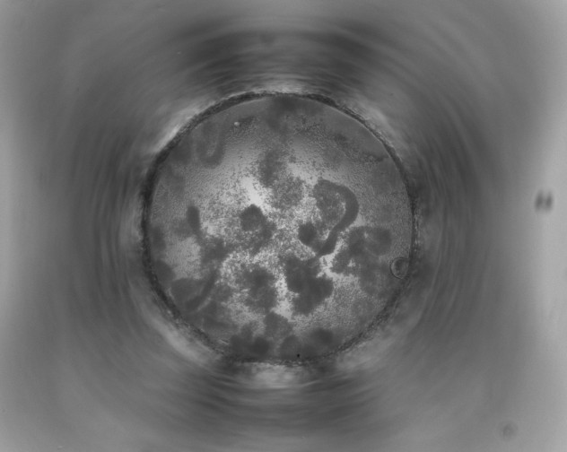 X0000092090347200709121517
