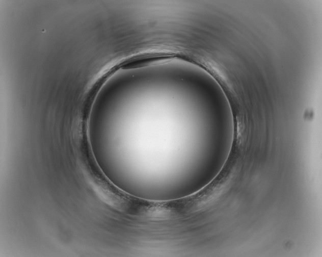 X0000092090348200709121517