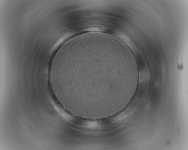 X0000092090349200709121517