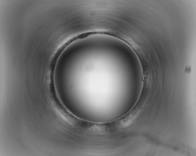 X0000092090350200709121517