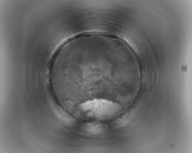 X0000092090351200709121517