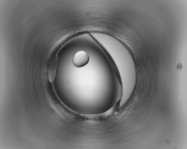 X0000092090352200709121517