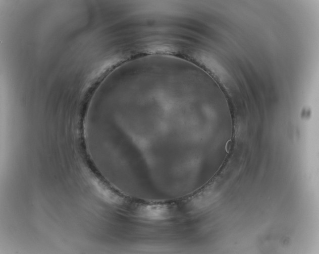 X0000092090353200709121517