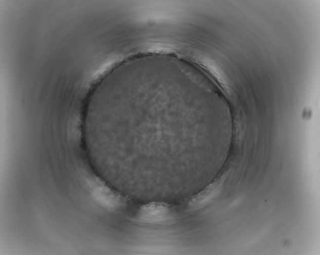 X0000092090354200709121517