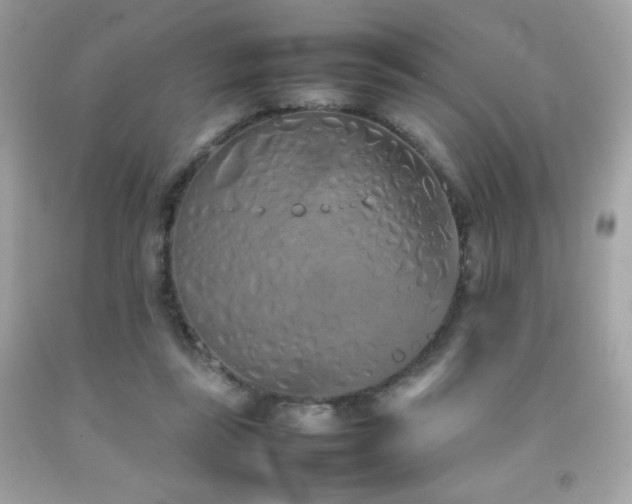 X0000092090355200709121517