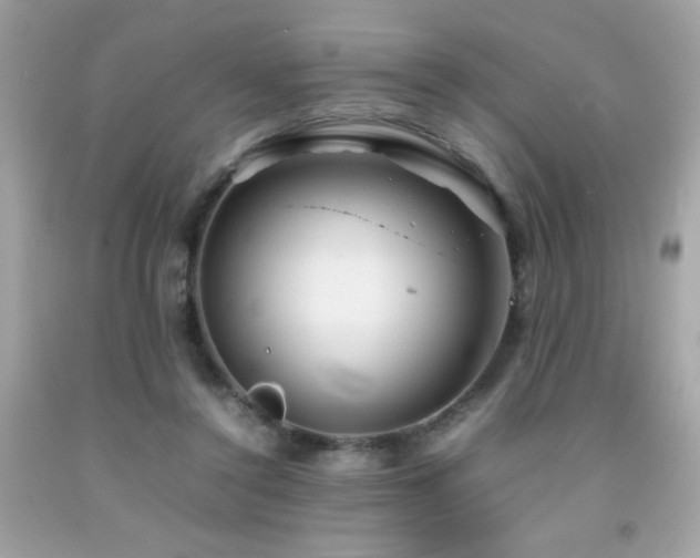 X0000092090356200709121517