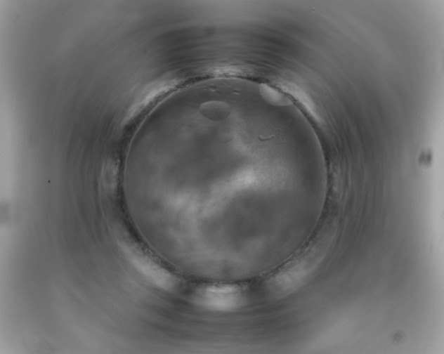 X0000092090357200709121517